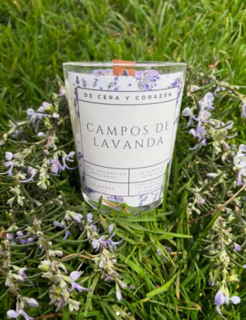Campos de Lavanda