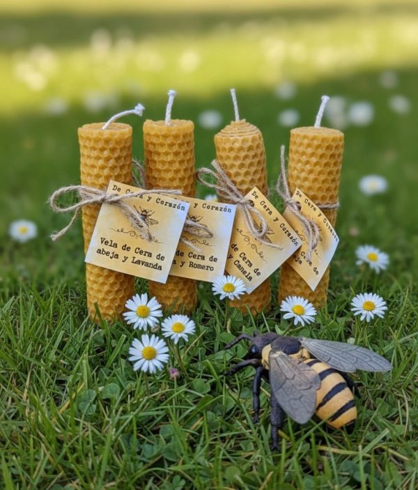 Imagen de WhatsApp 2025-11-10 a las 21.17.58_7505fc11