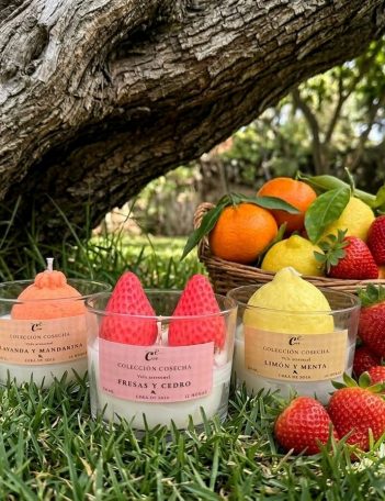 🌸Colección Cosecha🧺