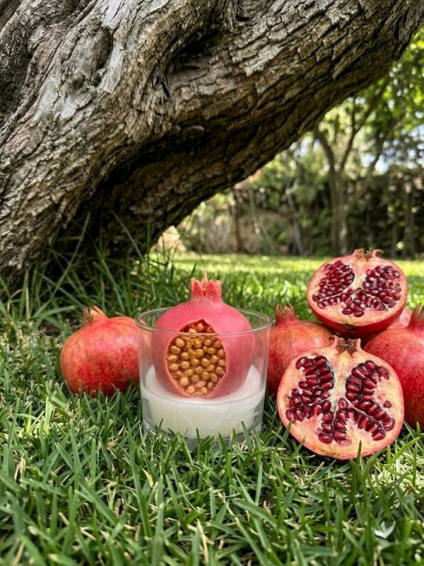 WhatsApp Image 2026-03-19 at 20.10.05